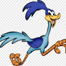 Crazed roadrunner